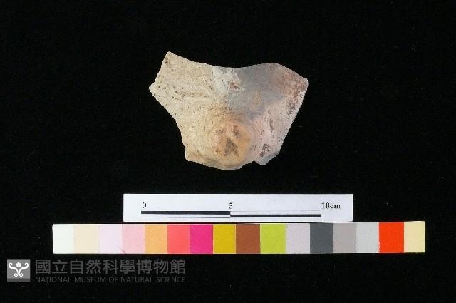 陶蓋藏品圖，第2張