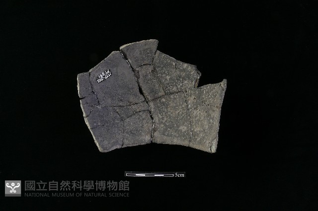 陶片藏品圖，第1張