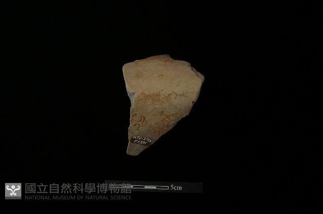 陶罐藏品圖，第2張