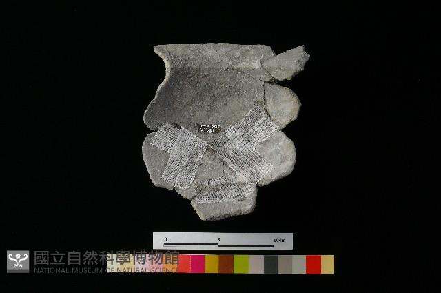 陶罐藏品圖，第3張