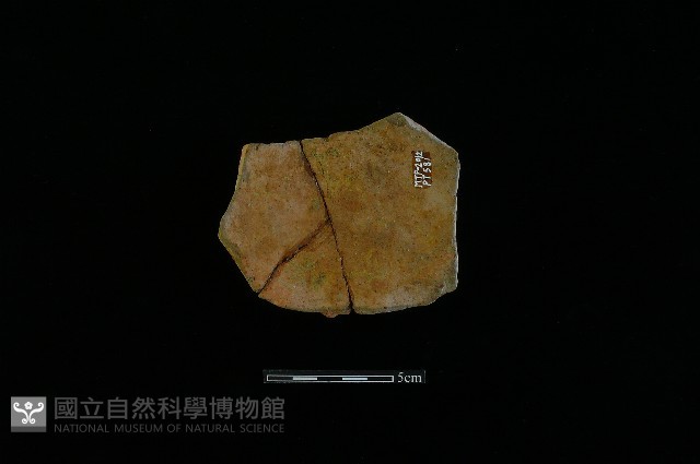 陶片藏品圖，第1張