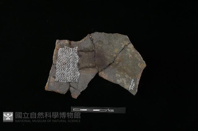 陶片藏品圖，第2張