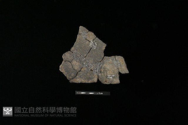 陶片藏品圖，第1張