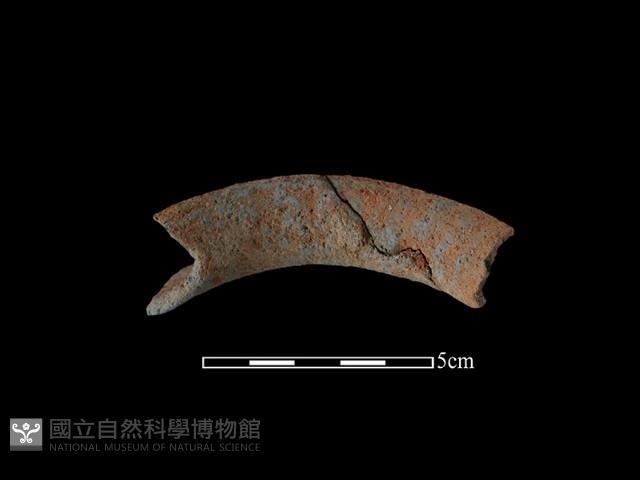 陶罐藏品圖，第2張