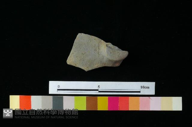 陶蓋藏品圖，第2張