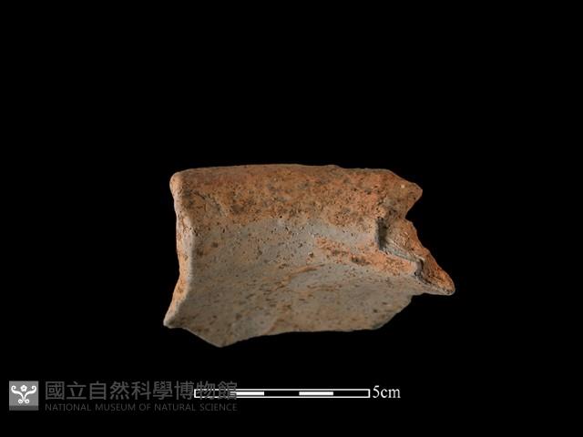 陶罐藏品圖，第1張