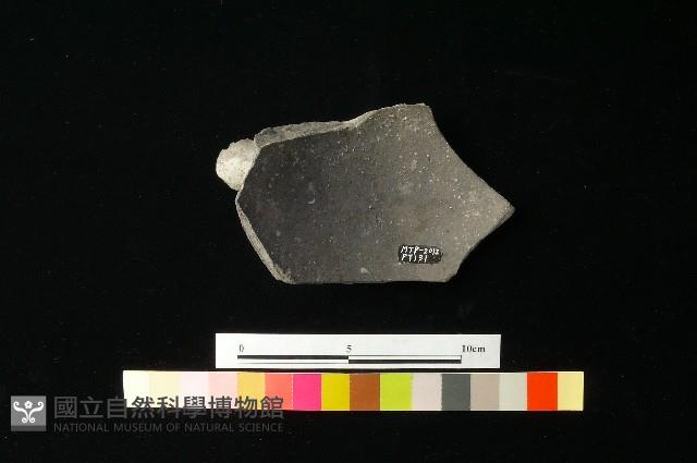 Accession Number:MTP-2012-PT131 Collection Image, Figure 2, Total 3 Figures