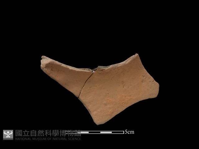 Accession Number:NSKII-2017-331 Collection Image, Figure 1, Total 2 Figures