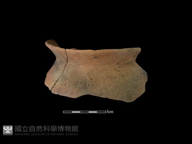陶罐藏品圖，第3張