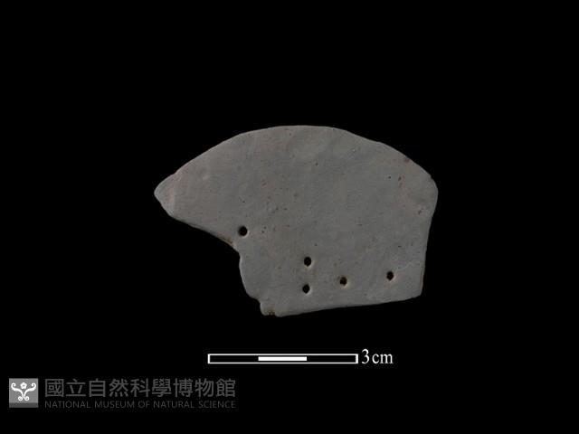 陶片藏品圖，第1張