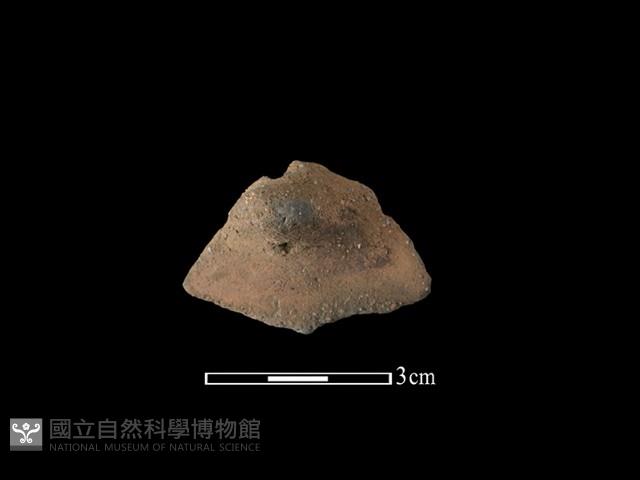 陶鈕藏品圖，第2張
