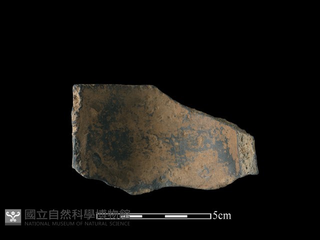 陶片藏品圖，第1張