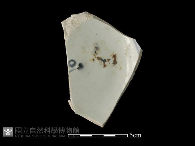 瓷片藏品圖，第1張