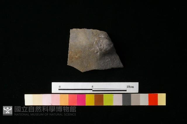 陶蓋藏品圖，第2張