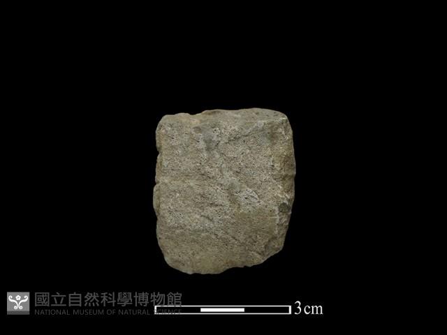 錛鑿形器藏品圖，第2張