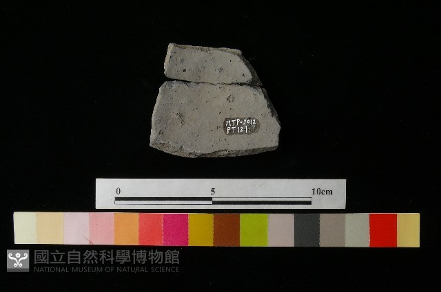 陶片藏品圖，第1張