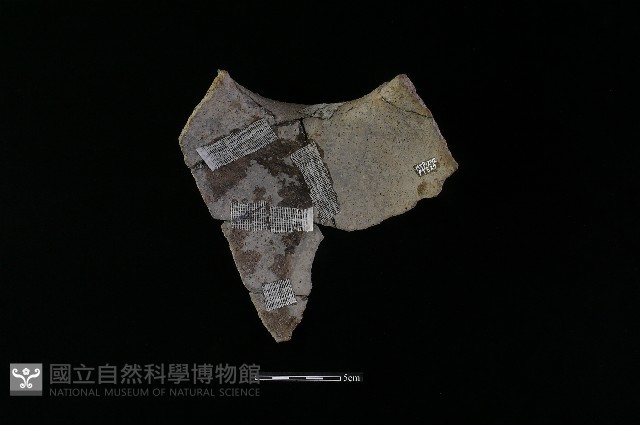 陶罐藏品圖，第3張