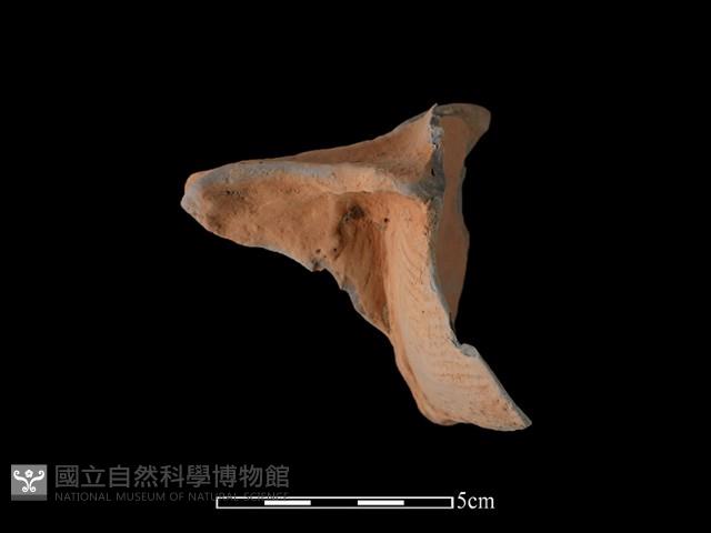 連杯形器藏品圖，第2張