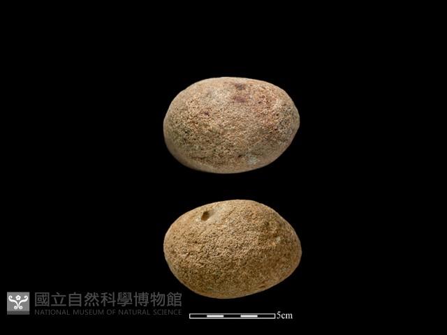 石鎚藏品圖，第2張