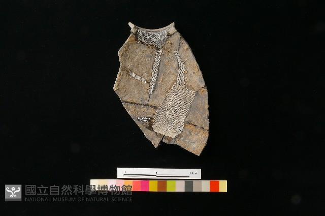 陶罐藏品圖，第1張