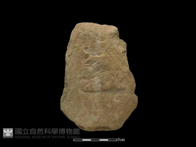 斧鋤形器藏品圖，第2張