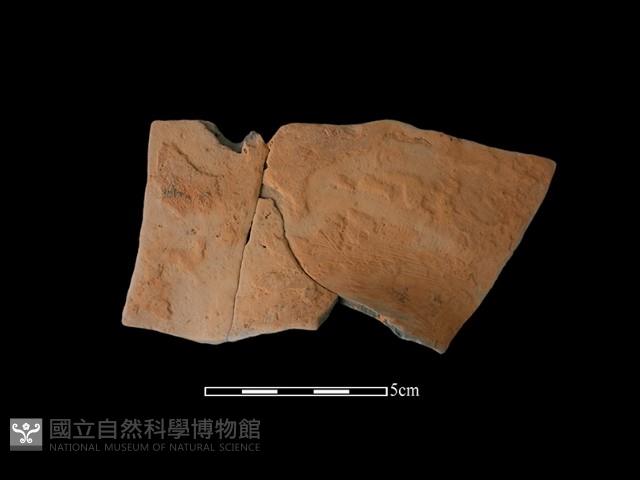 連杯形器藏品圖，第2張