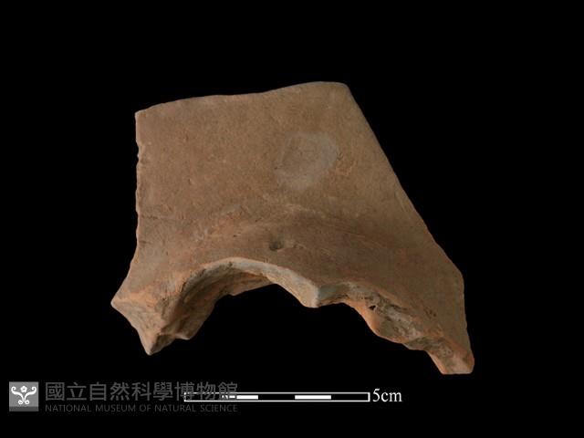 連杯形器藏品圖，第2張