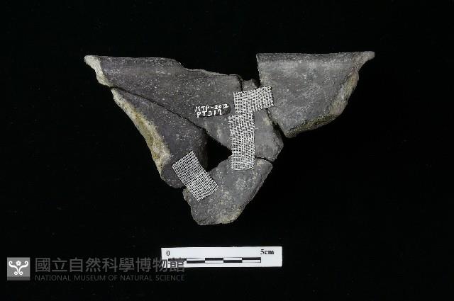 陶罐藏品圖，第1張