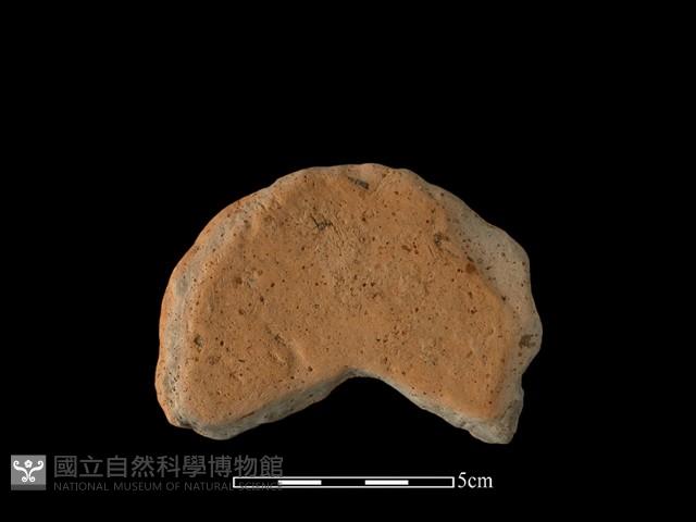 陶片藏品圖，第1張