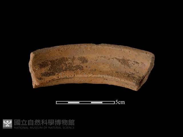 Accession Number:NSKII-2017-147 Collection Image, Figure 1, Total 2 Figures