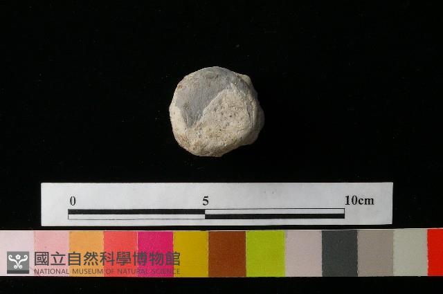 陶蓋藏品圖，第3張