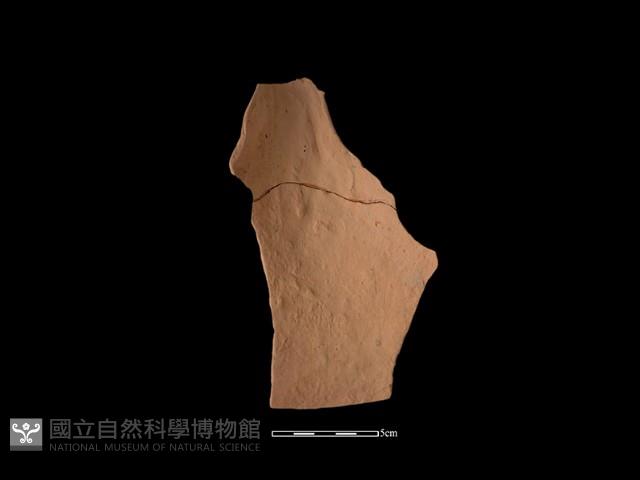 陶片藏品圖，第2張