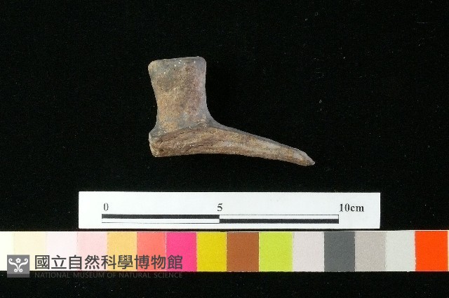 陶蓋藏品圖，第1張