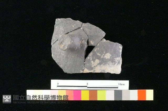 陶蓋藏品圖，第3張