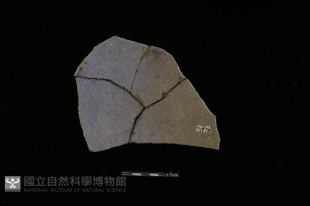 陶片藏品圖，第2張