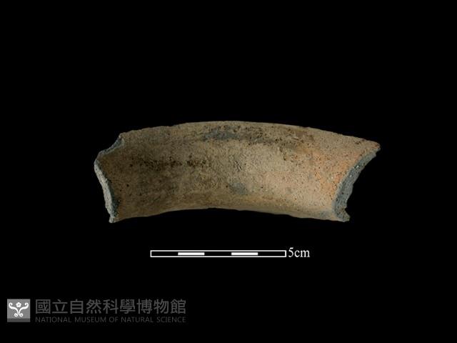 陶罐藏品圖，第1張