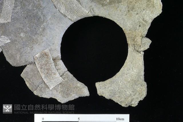 陶罐藏品圖，第3張