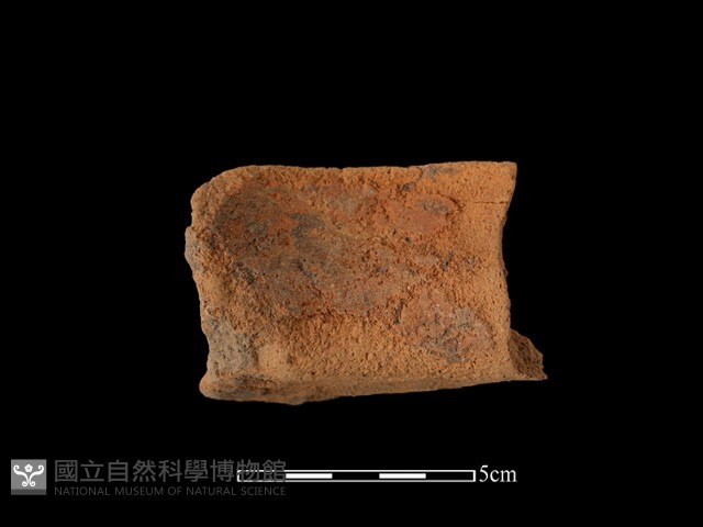 陶罐藏品圖，第1張