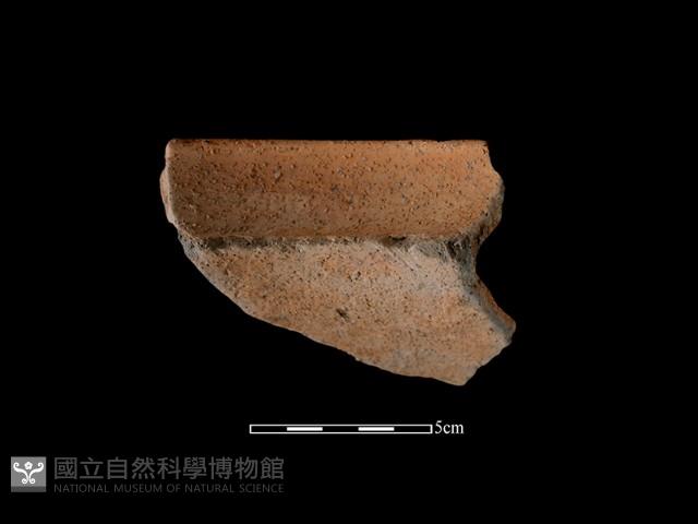 陶罐藏品圖，第1張