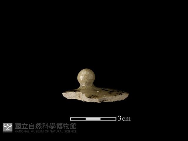 瓷蓋藏品圖，第1張