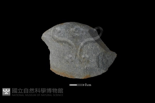 石片器藏品圖，第2張