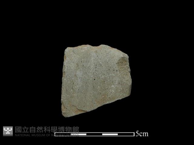 錛鑿形器藏品圖，第2張