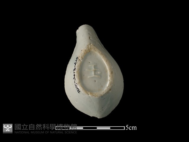 湯匙藏品圖，第2張