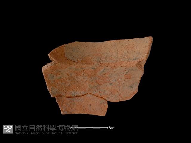 陶罐藏品圖，第2張