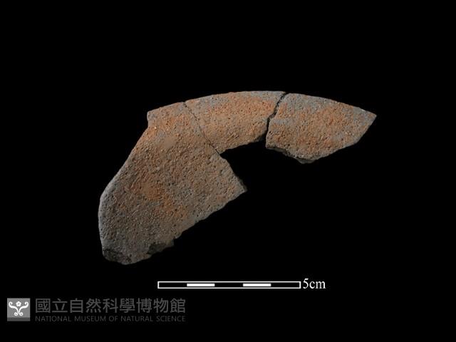 陶片藏品圖，第2張