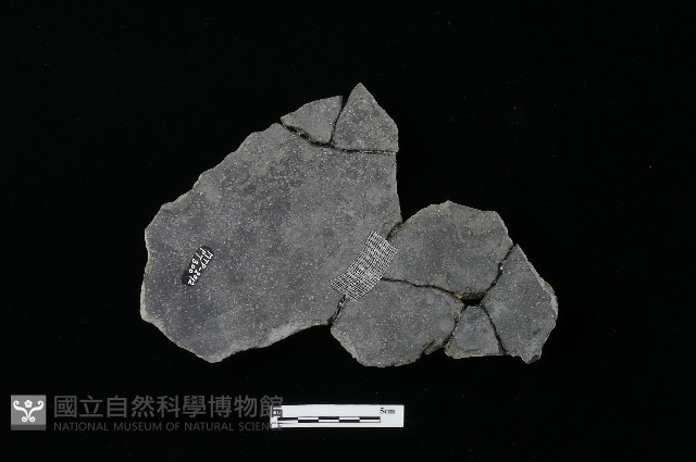 陶器藏品圖，第2張