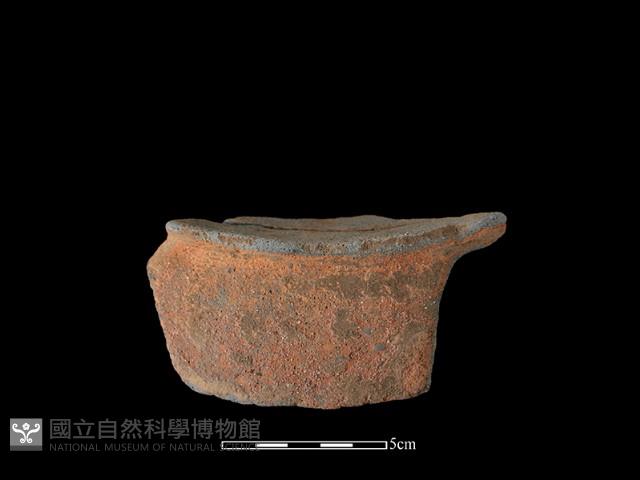 陶片藏品圖，第1張