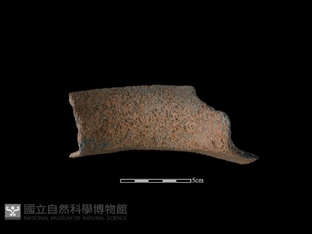 Accession Number:NSKII-2017-210 Collection Image, Figure 1, Total 2 Figures