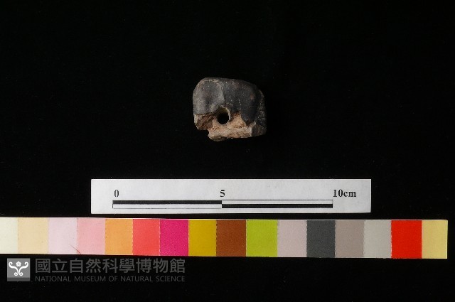 陶蓋藏品圖，第1張