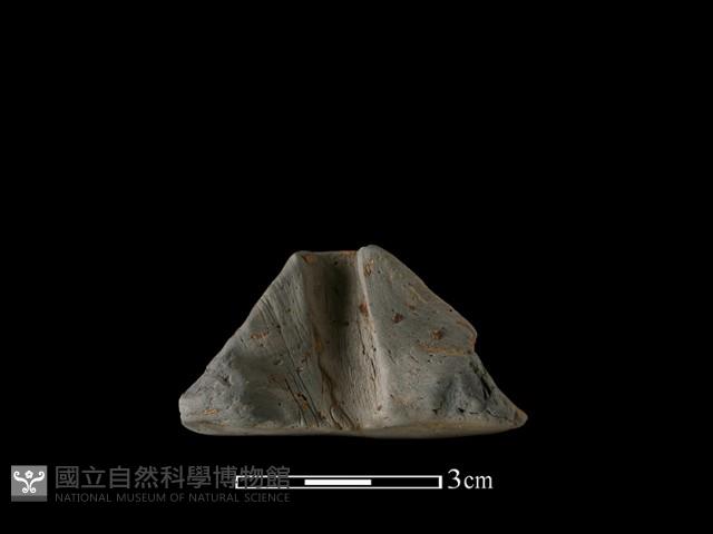 陶紡輪藏品圖，第2張